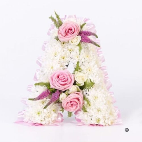 F13191ps.jpg F13191ps.jpg