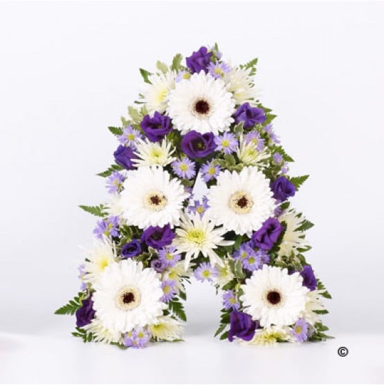 F13301bs.jpg F13301bs.jpg