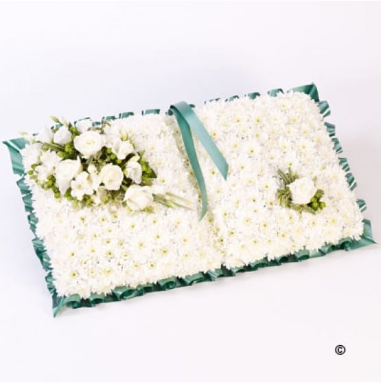 F13381ws.jpg F13381ws.jpg