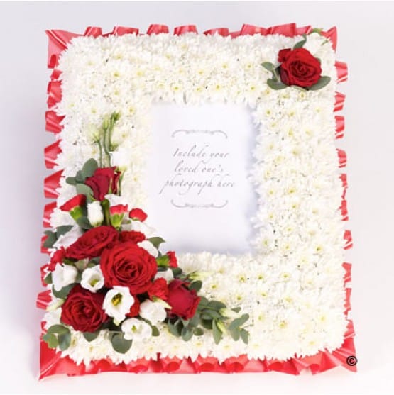 F13771rs.jpg F13771rs.jpg