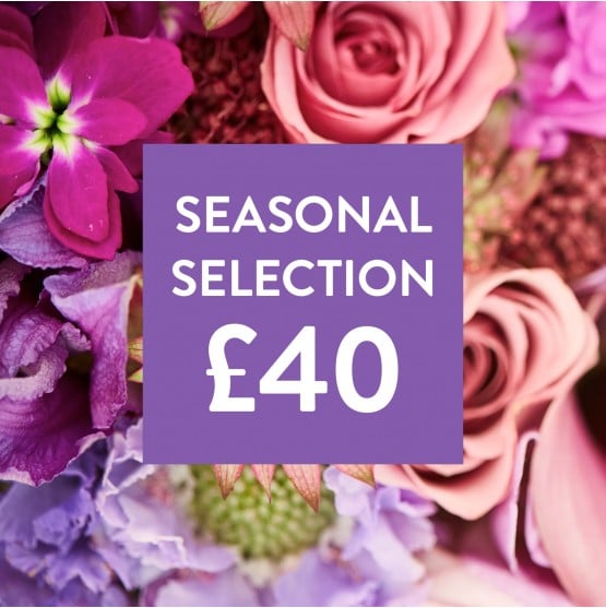 Flowers 40.jpg Flowers 40.jpg