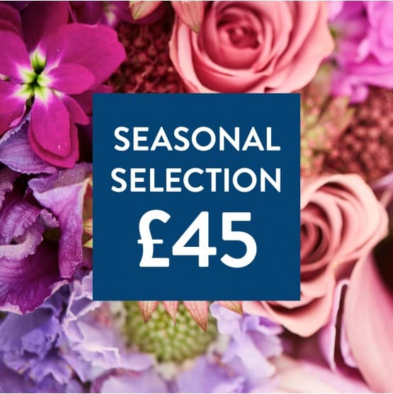 Flowers 45.jpg Flowers 45.jpg