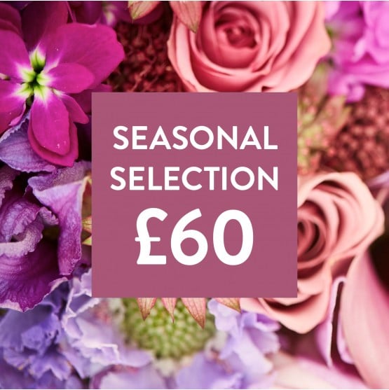 Flowers 60.jpg Flowers 60.jpg