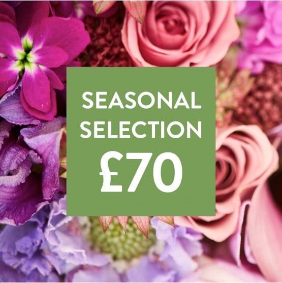 Flowers 70.jpg Flowers 70.jpg