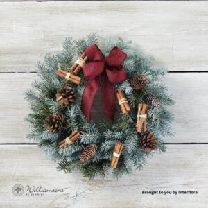 Christmas Flower Blog2019