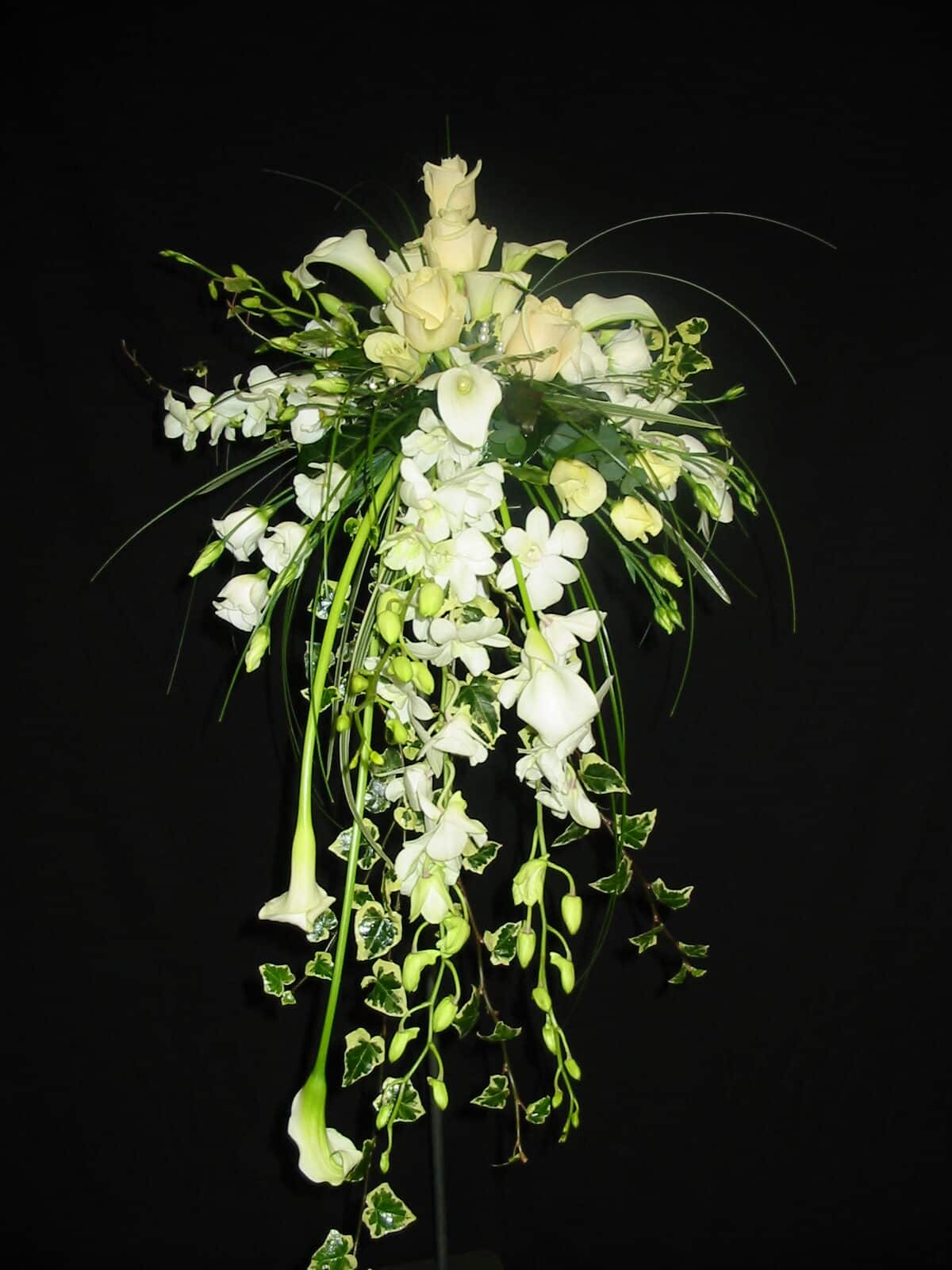 Bridal 002 Bridal 002