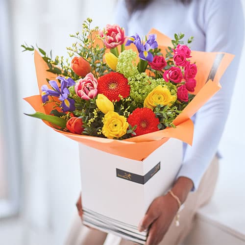 Scht0200 1 2048x2048 Compressed