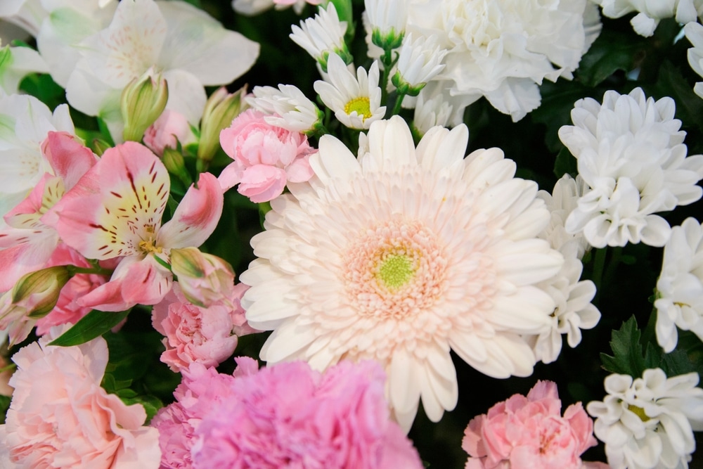 A funeral wreath of white carnations