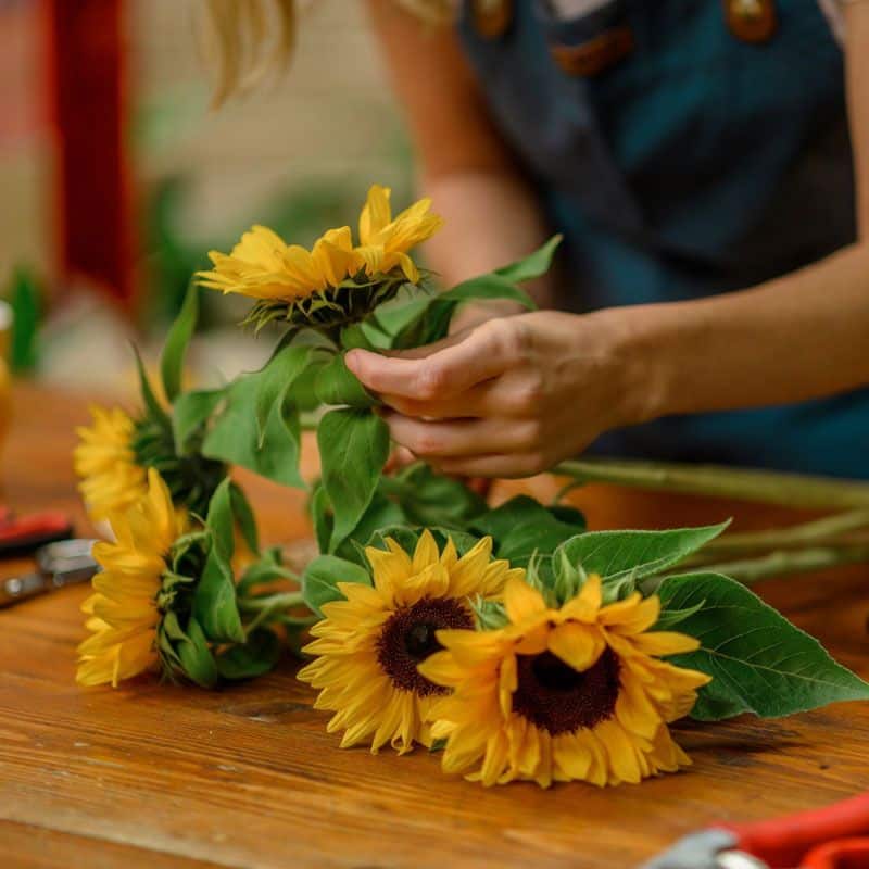 Florist preparing sunflowers for use in an autumn bouquet