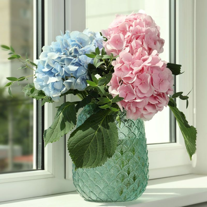 Birthday vase arrangement of blue and pink hydrangeas on a windowsill