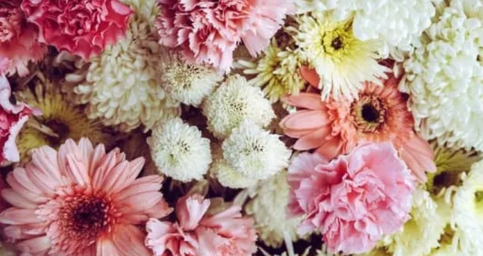 Screenshot 2026 03 03 144900